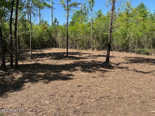 Land for sale in Tylertown, Mississippi