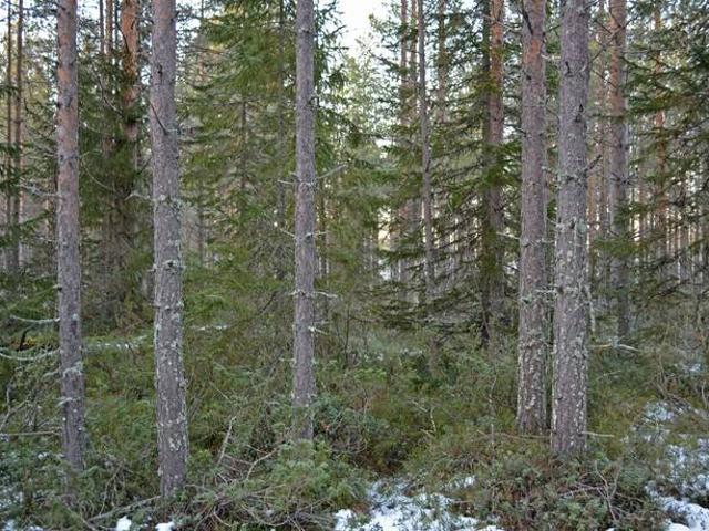 Bostad till salu i Haparanda, Norrbotten