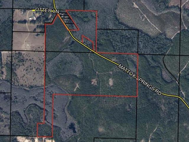 Land for sale in Florida