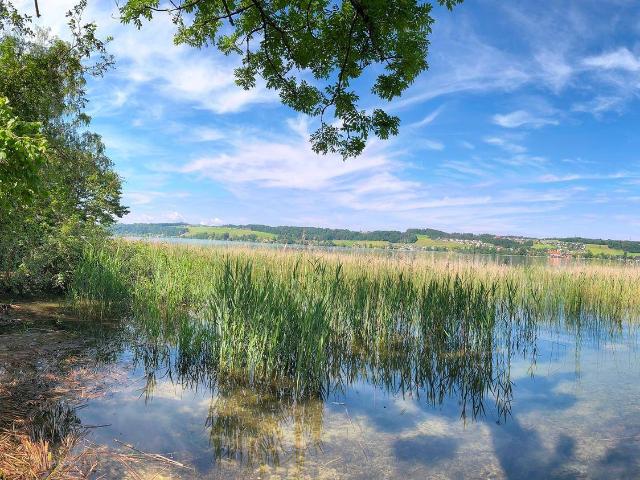 Immobilie kaufen in Stockwiese, Mattsee