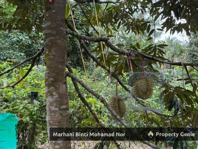 Property for sale in Selayang, Selangor