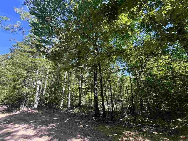 Land for sale in Boyne Falls, Michigan