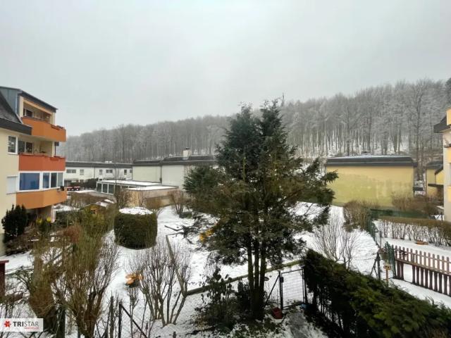 Wohnung kaufen in Mauerbach, Niederösterreich