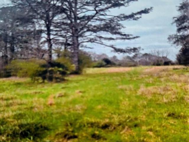 Land for sale in Cohutta, Georgia