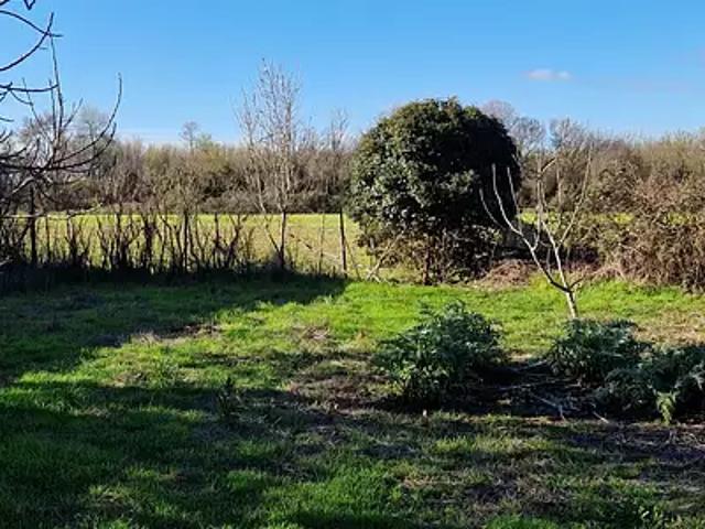 Terrain vente à Montpellier, Mauguio