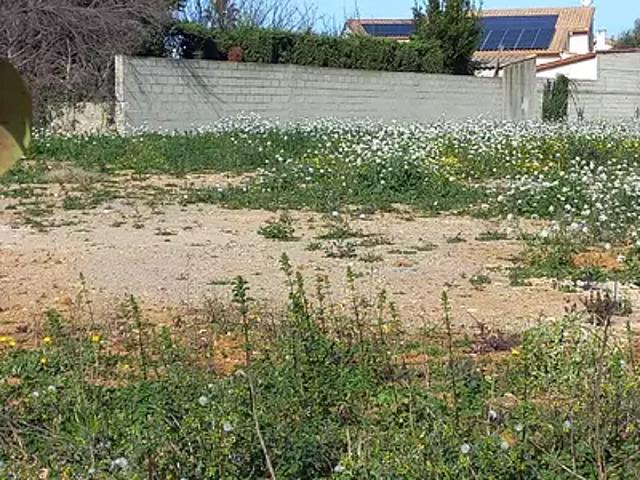 Terrain vente à Montpellier, Mauguio