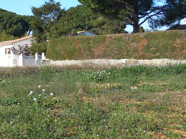 Terrain vente à Montpellier, Mauguio