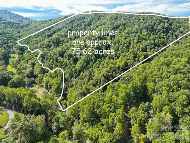 Land for sale in Waynesville, Haywood County