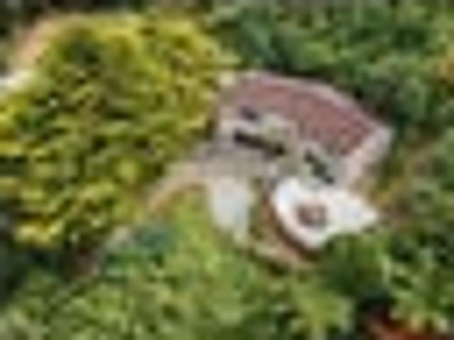 House for rent in Days Bay, Wellington