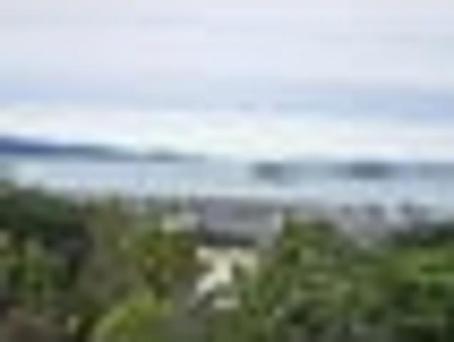House for rent in Days Bay, Wellington