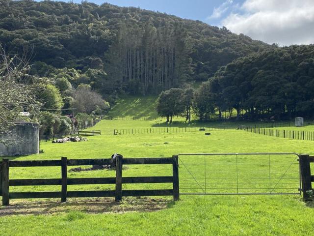 House for rent in Whangarei, Northland