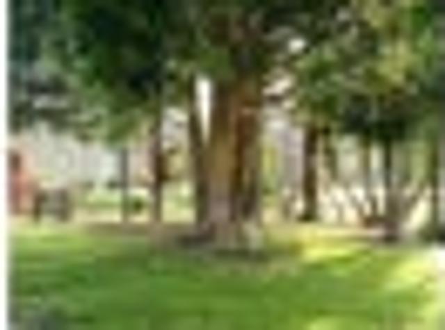 House for rent in Northland
