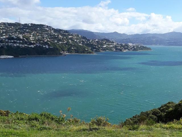 Apartment for rent in Matata, Wellington