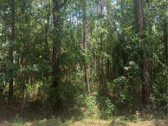 Land for sale in Bayou La Batre, Alabama