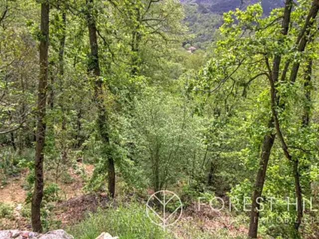 Terrain vente à Céret, Maureillas-las-illas