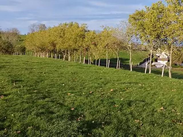 Terrain vente à Mauriac