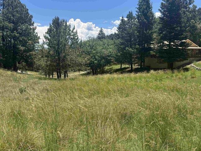 Land for sale in Cloudcroft, New Mexico