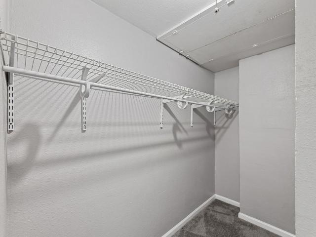 Apartment for rent in Dallas, Texas