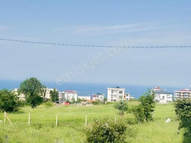 Atakum, Samsun içerisinde kiralık mülk