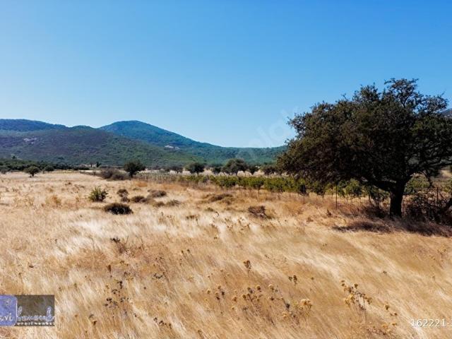 Eğlenhoca Mahallesi, Karaburun içerisinde satılık Arsa