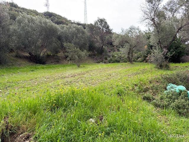Karaburun, İzmir içerisinde satılık Arsa