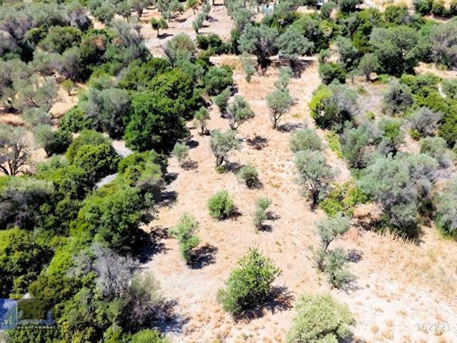 Kösedere Mahallesi, Karaburun içerisinde satılık Arsa