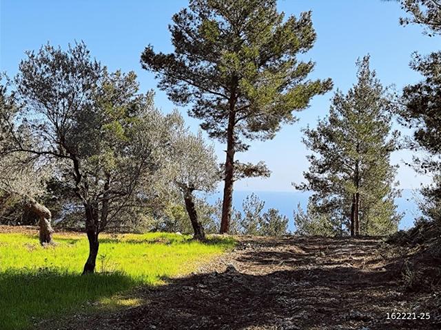 Karaburun, İzmir içerisinde satılık Arsa
