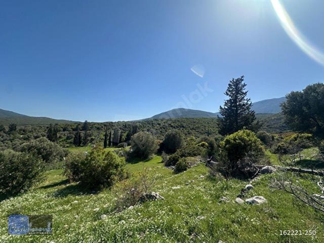 Karaburun, İzmir içerisinde satılık Arsa