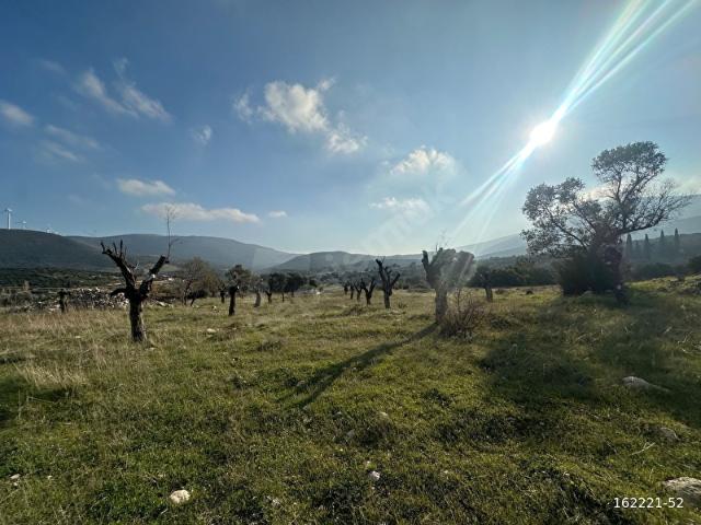 Karaburun, İzmir içerisinde satılık Arsa