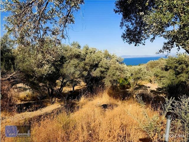 Kösedere Mahallesi, Karaburun içerisinde satılık Arsa