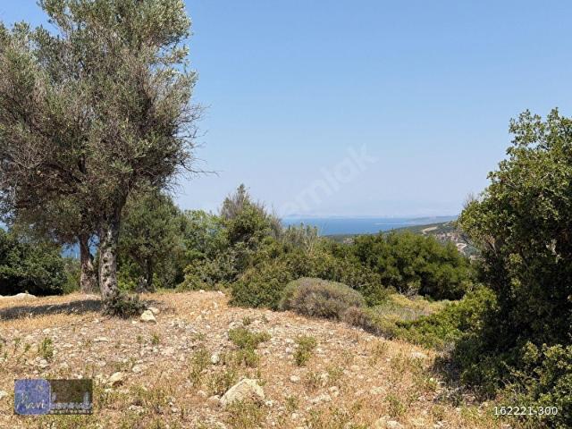 Karaburun, İzmir içerisinde satılık Arsa