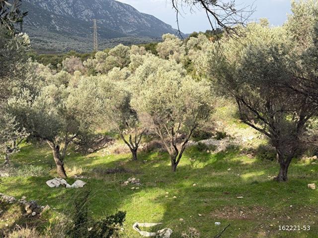 Karaburun, İzmir içerisinde satılık Arsa