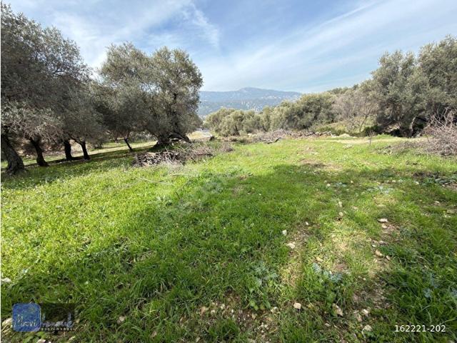 Karaburun, İzmir içerisinde satılık Arsa