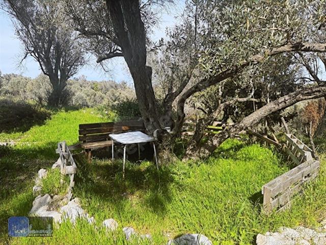 Karaburun, İzmir içerisinde satılık Arsa