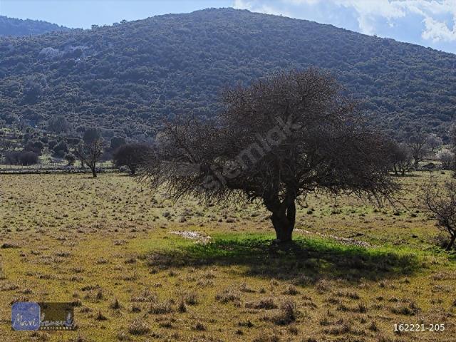 Karaburun, İzmir içerisinde satılık Arsa