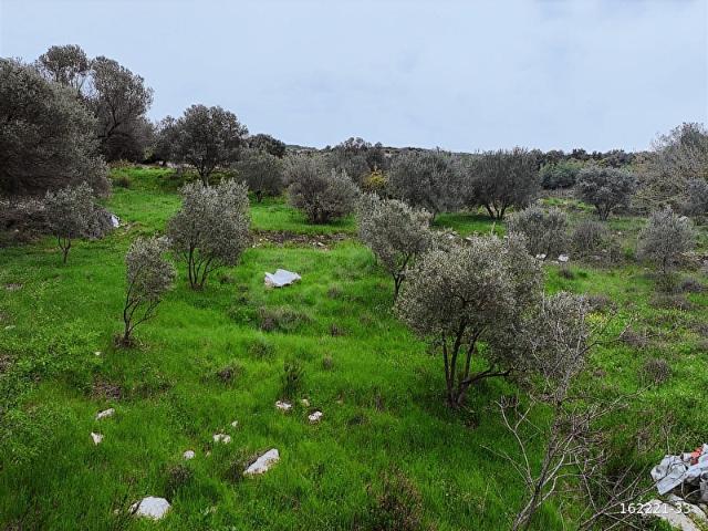 Karaburun, İzmir içerisinde satılık Arsa