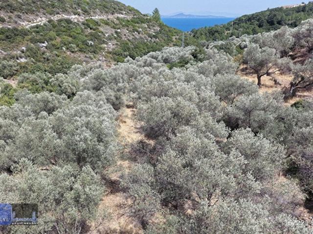 Karaburun, İzmir içerisinde satılık Arsa
