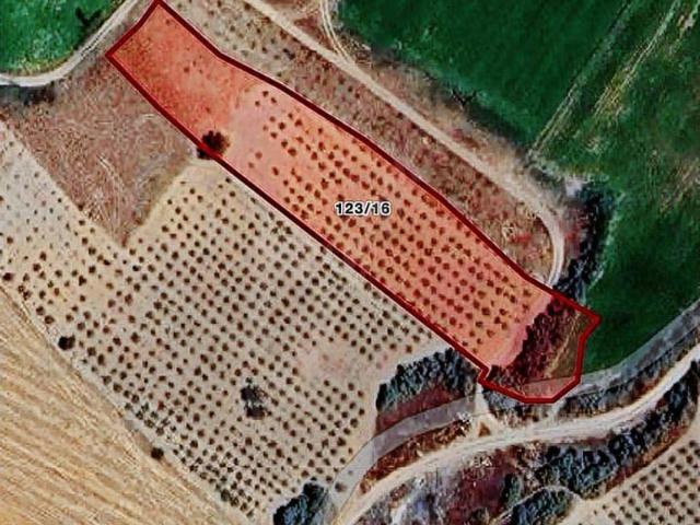 Alacaşar Köyü, Nevşehir Merkez içerisinde satılık mülk