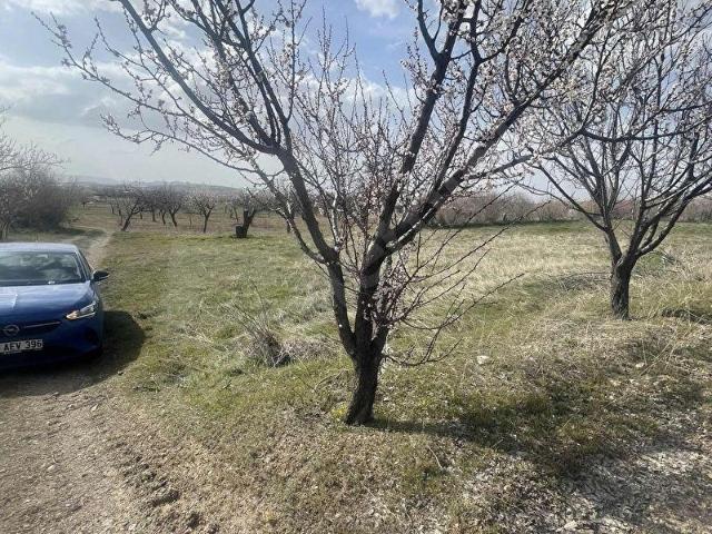 Nevşehir Merkez, Nevşehir içerisinde satılık Arsa