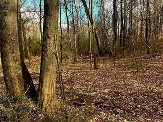 Land for sale in Cobb, Georgia