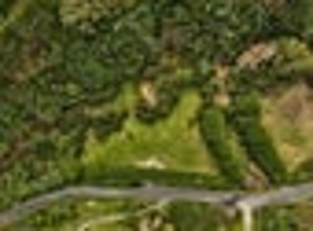 Land for sale in Papakaio, Wellington