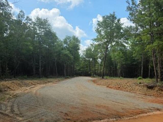 Land for sale in Waynesboro, Georgia