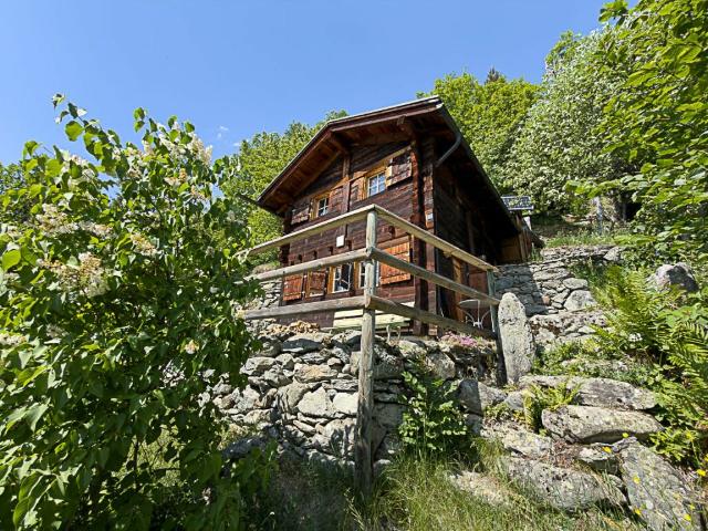 Haus kaufen in Sarreyer, Wallis