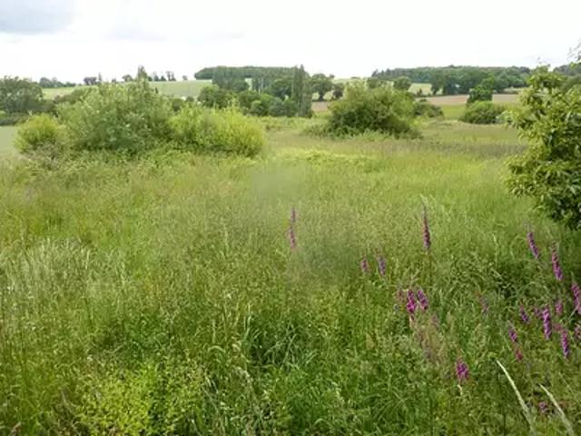 Terrain vente à Mayenne