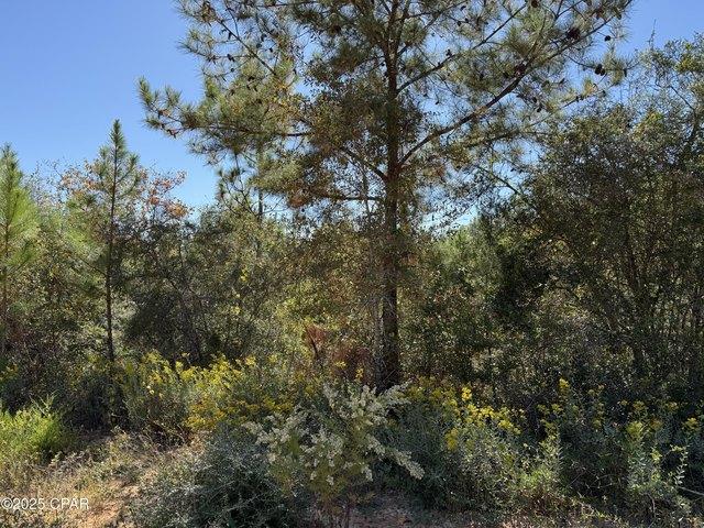 Land for sale in Marianna, Florida