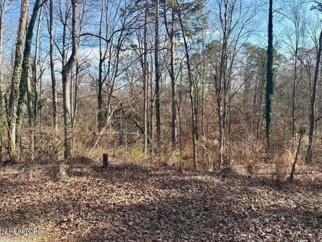 Land for sale in Tennessee