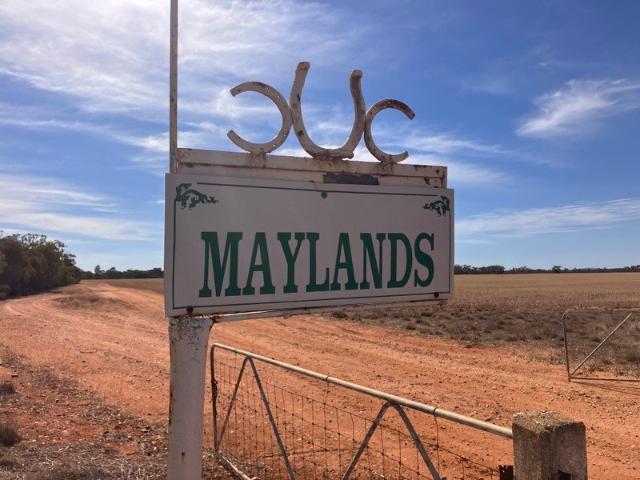 Property for sale in Goolgowi, New South Wales