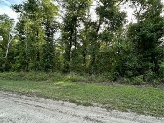 Land for sale in Mayo, Florida
