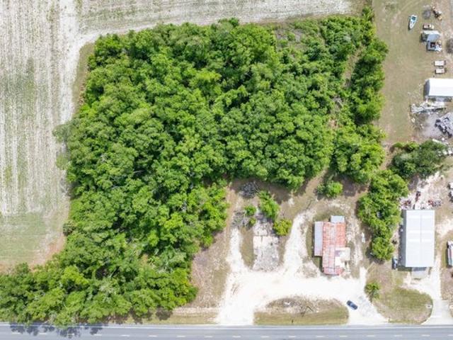 Land for sale in Mayo, Florida