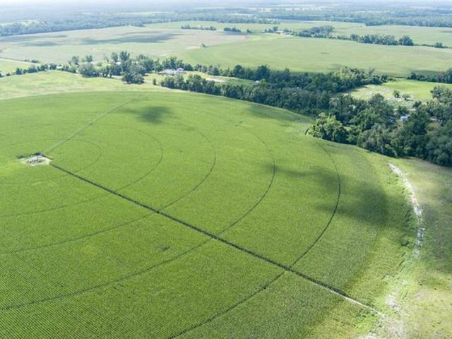 Land for sale in Mayo, Florida